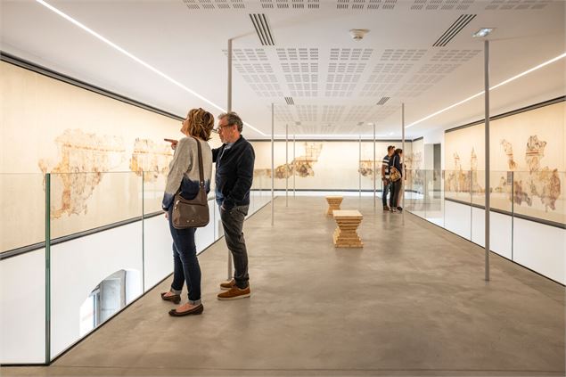 Musée Savoisien - Peignée Verticale