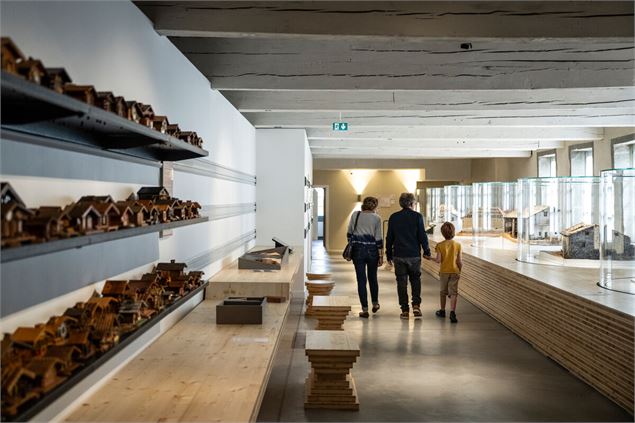 Musée Savoisien - Peignée Verticale