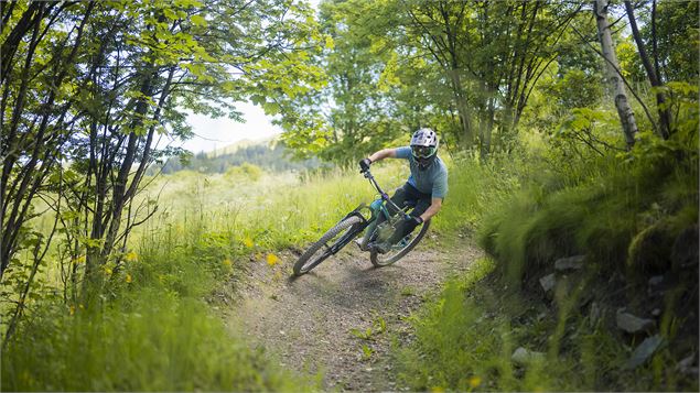 DH3 - La Bombée_Saint-Martin-de-Belleville