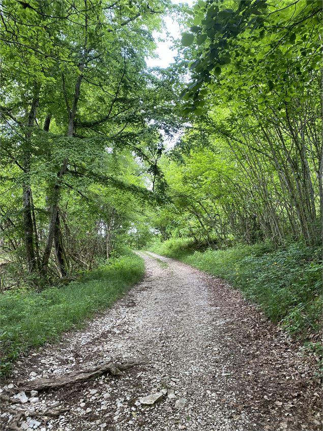 Circuit de randonnée pédestre : La Montagne de Saint-Benoit_Groslée-Saint-Benoit - ©Office de touris