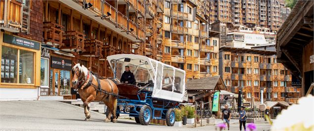 Transport en calèche électrique