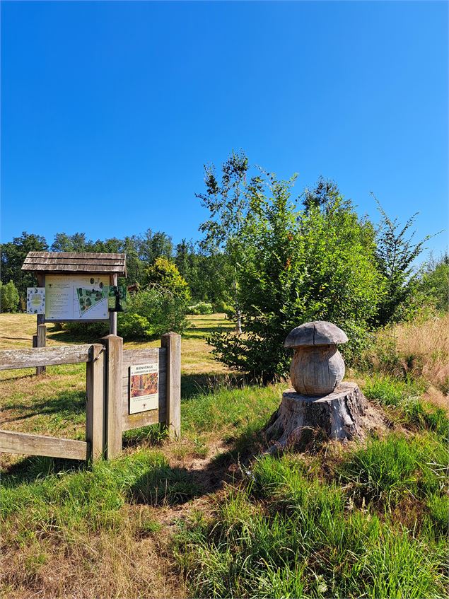 Arboretum d'Étrez_Bresse Vallons - © MP OTBBD (51)
