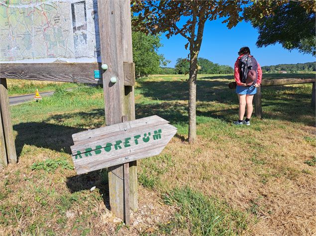Arboretum d'Étrez_Bresse Vallons - © MP OTBBD (51)