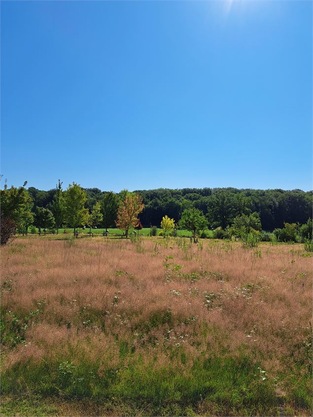 Arboretum d'Étrez_Bresse Vallons - © MP OTBBD (51)