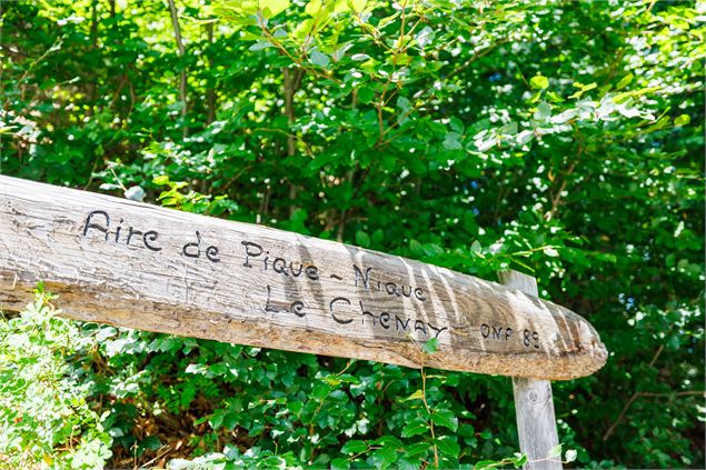 Aire de pique-nique du Chenay_Les Allues