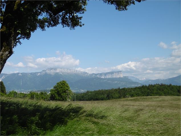 Point de vue - Ferrières - Alter Alpa Tourisme