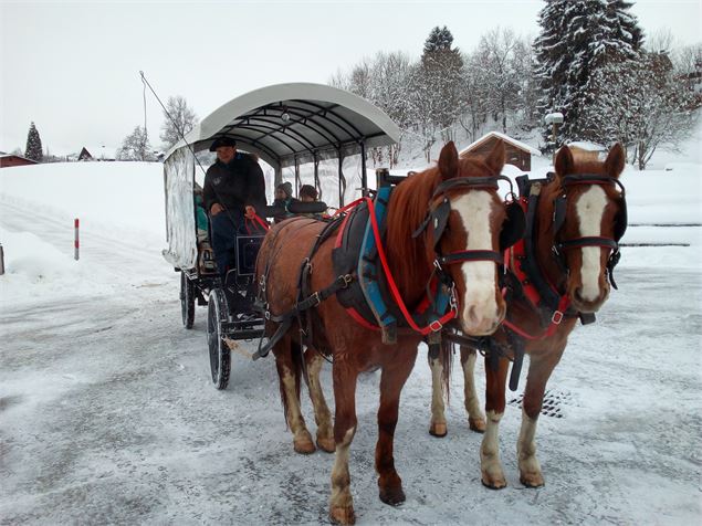 calèche hiver - Le Cheval de Feug