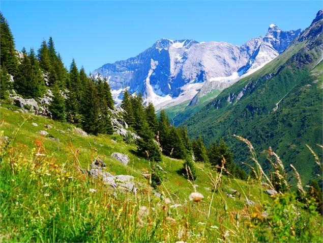En admirant les glaciers - OTGP