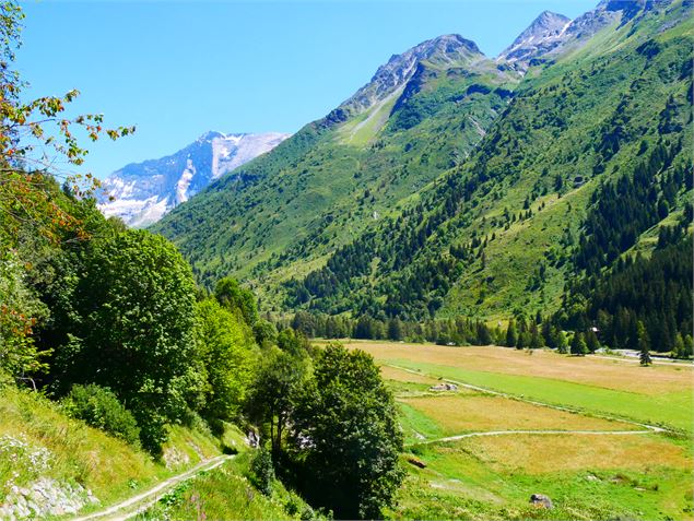 Alpage de Lécheron - OTGP