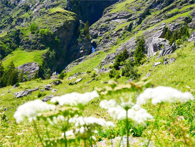 Cascade vers l'Alpage de Lécheron - OTGP