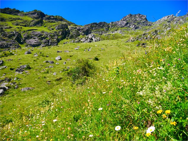 les fleurs du sentier - OTGP
