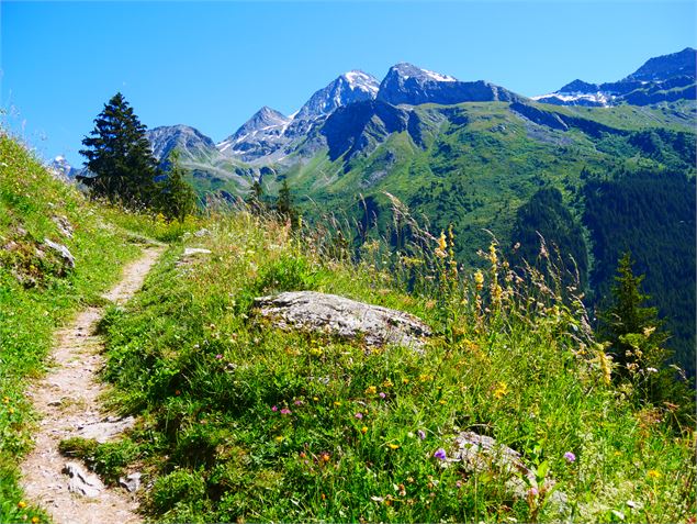 Sur le sentier de Froide Fontaine - OTGP