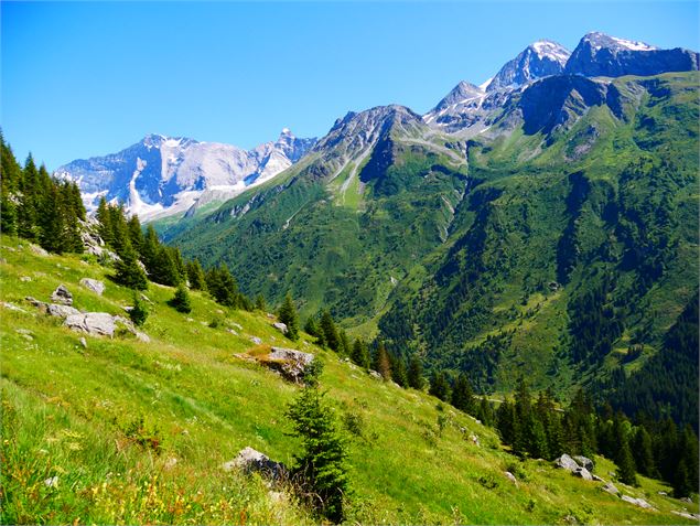 Sur le chemin de Froide Fontaine - OTGP