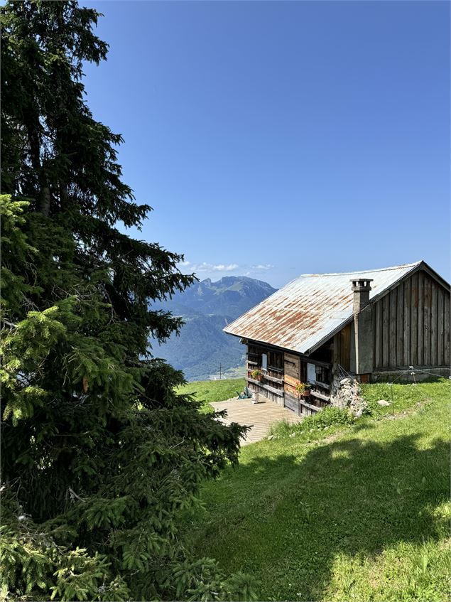 Sentier de randonnée - Le Petit Môle depuis Chez Béroud_Saint-Jean-de-Tholome - MyWildTravel
