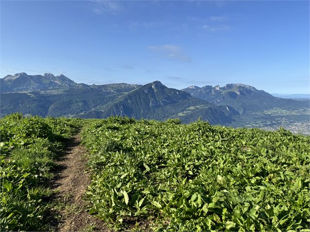 Sentier de randonnée - Le Petit Môle depuis Chez Béroud_Saint-Jean-de-Tholome - MyWildTravel