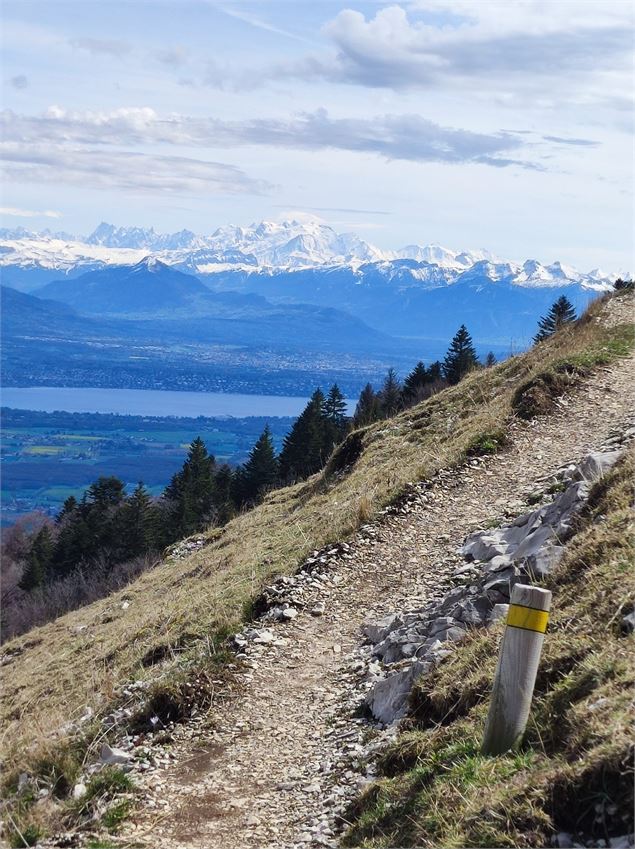 Vue Mont Blanc - ©AMbarbe