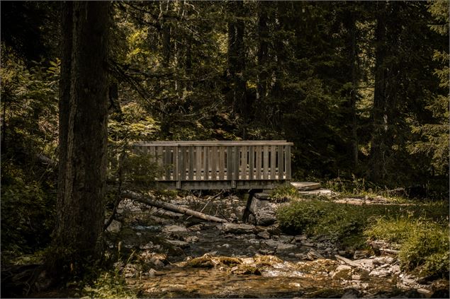 Pont en bois - Lucie Tanguy / Vallée d'Aulps Tourisme