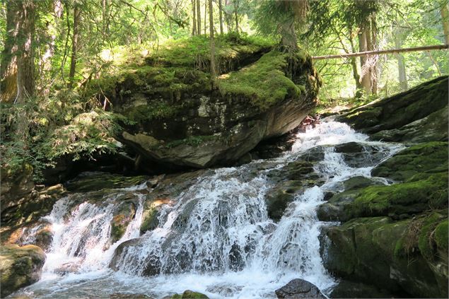 Cascade rivière Dranse de Montriond - Yvan Tisseyre / OT Vallée d'Aulps