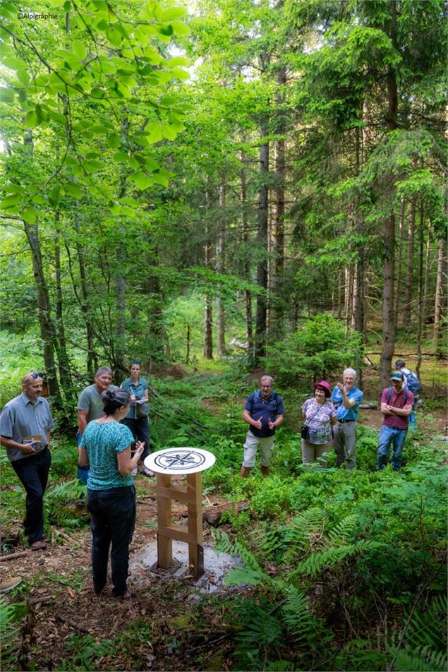 sentier forestier - PNR des Bauges - Loic Belle