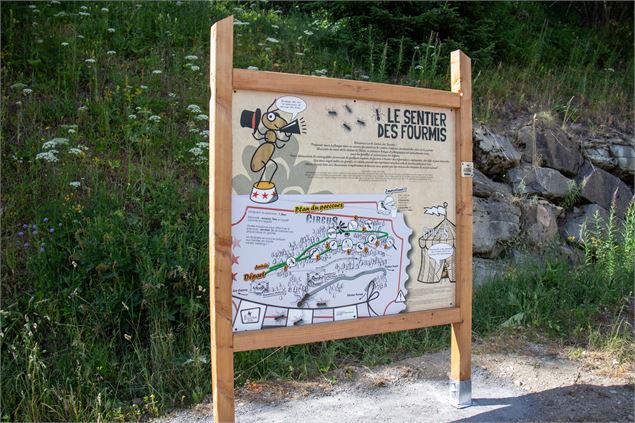 Panneau explicatif du monde des fourmis - OT Flaine - N.Ladrix