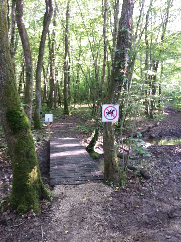 Circuit VTT - B Lambert