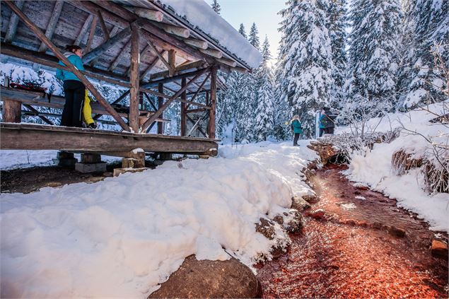 Vallon de They - Litescape