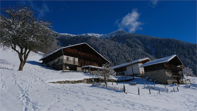 Habitat aux Villes_hiver - otab_Marie