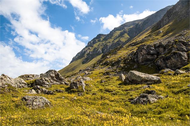 Col d'Emy - Alpages - OTI Cœur de Maurienne