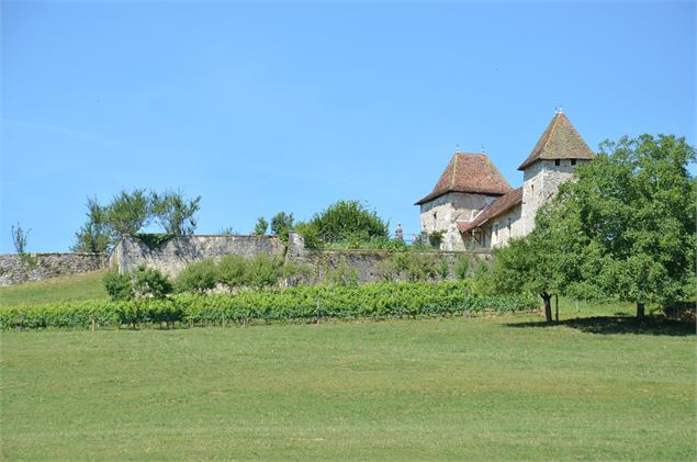 Château de Rochefort, propriété privée, non visitable - OT Val Guiers@L. Martin