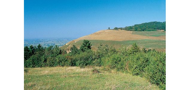 Carrière de Roissiat