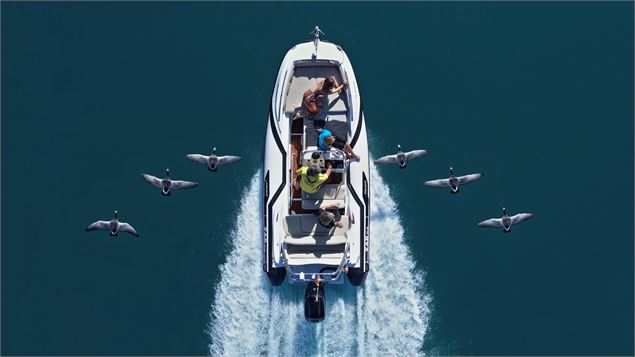 Escapade en bateau avec les oiseaux migrateurs_Doussard - Delta Evasion