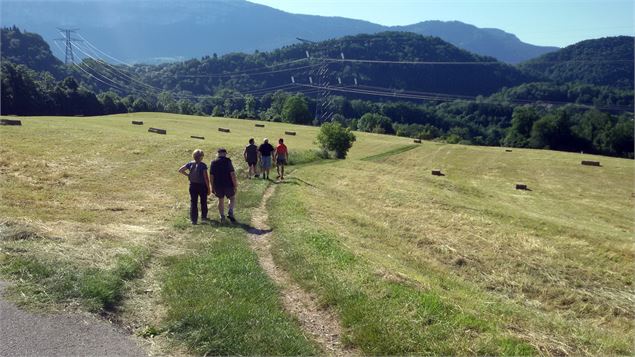 Lie- Dit Vergenucle - C. Maurel/Smaps