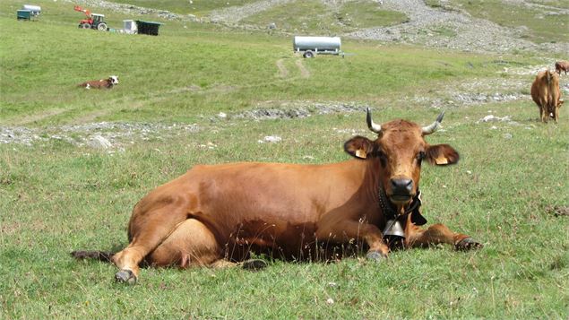 Réserve Naturelle et lac de la Grande Sassière - ©SavoieMontBlanc-Lansard