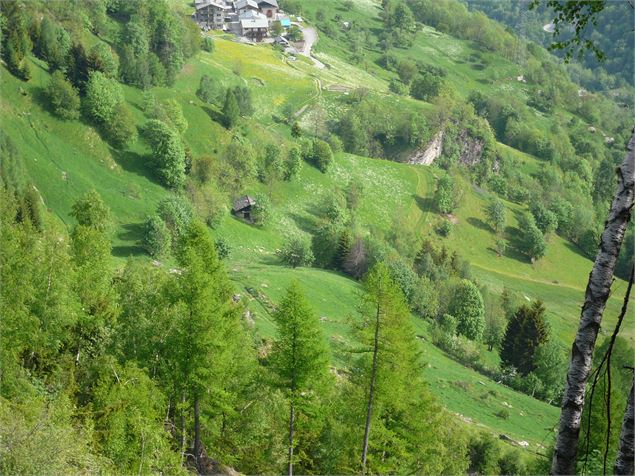 Planay de Villaroger