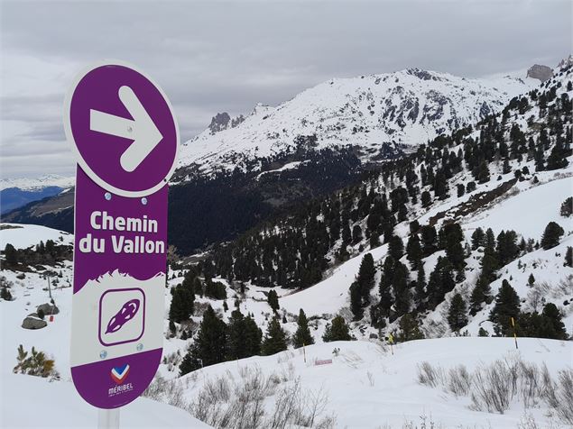 Balisage Sentier hiver Chemin du Vallon (raquettes) - Sylvain Aymoz