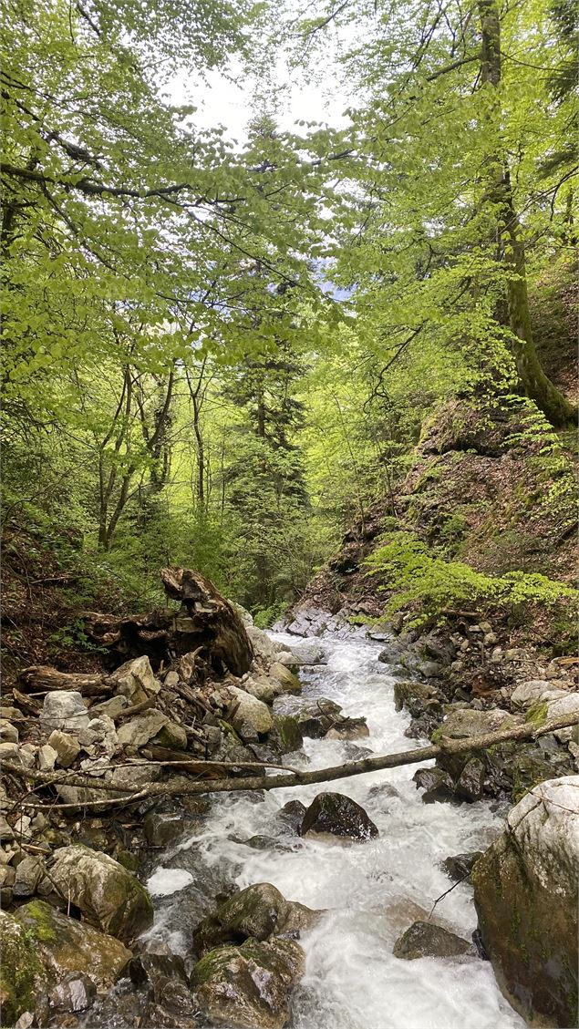 Cascade - Manon OTSLA