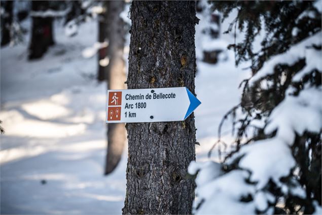 Signalétique - Juliette Rebour