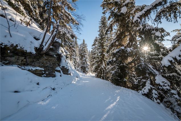 Chemin - Juliette Rebour