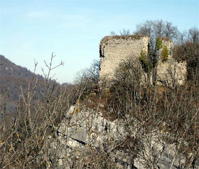 Les ruines du château de Montbel - M. Lepin