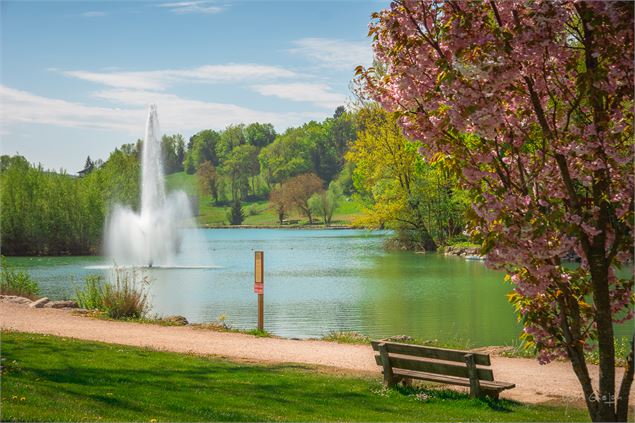 Cerisiers - Yan Gaëtan OLIVO