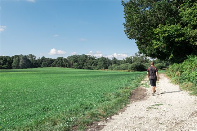 Sentier Clef des faux - Kenny Cérou
