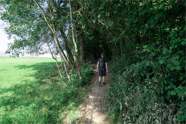 Sentier les Effrasses - Kenny Cérou