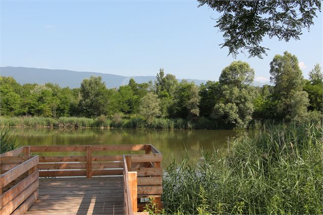 Ponton accessible tous handicaps, marais de l'Etournel - M. Duran/Office de Tourisme du Pays de Gex
