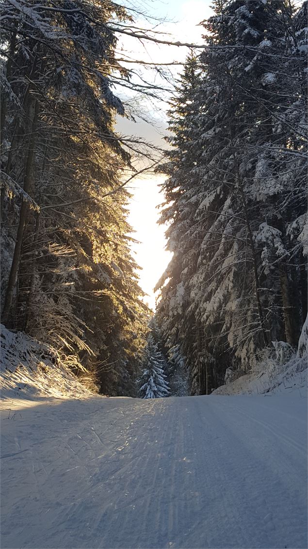 Circuit ski de fond Valorse - Daniel GILLET