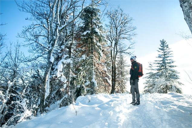 Valorse - Piste rouge de ski nordique - Daniel GILLET