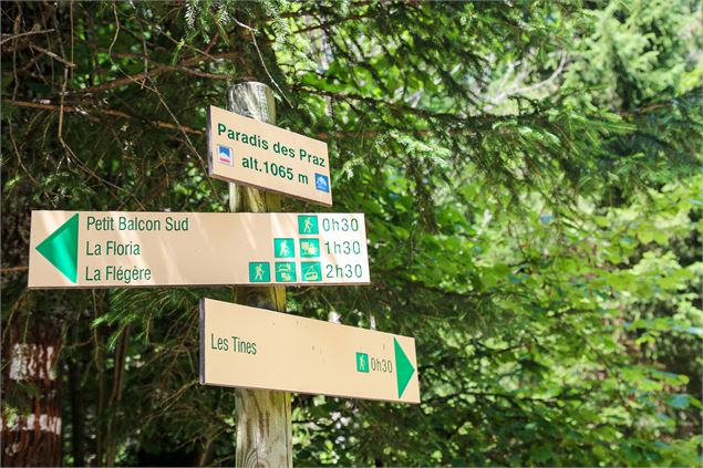 Balade Paradis des Praz
