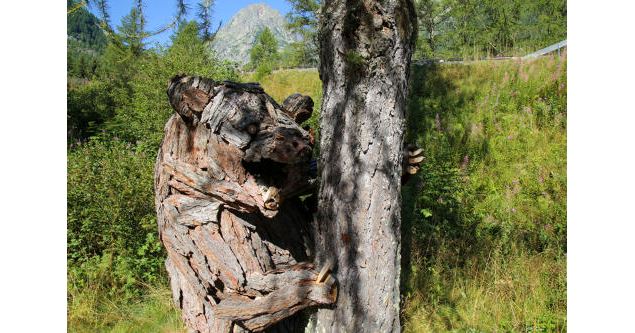 Le chemin des Diligences_Vallorcine