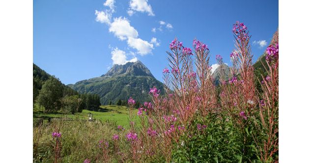 Le chemin des Diligences_Vallorcine