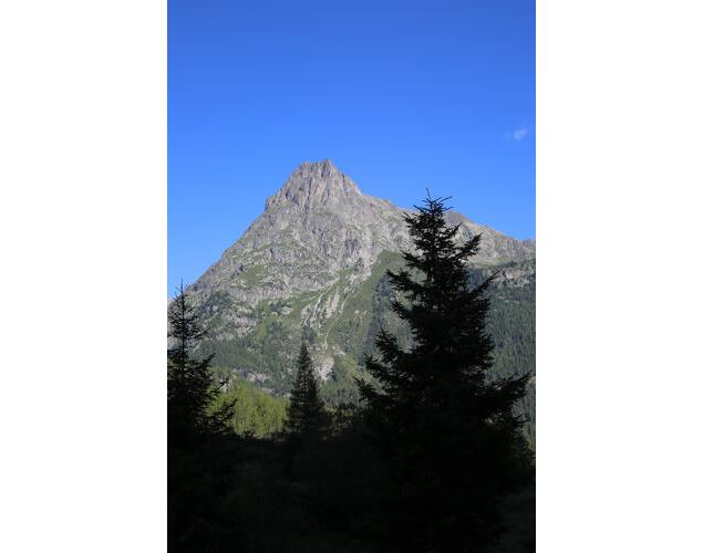 Le chemin des Diligences_Vallorcine