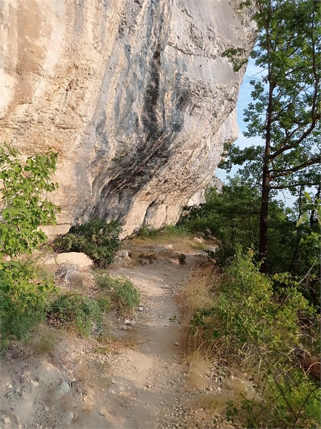 Corsuet - Le loup (accessible sans voiture)_Aix-les-Bains - Johanna Gauthier